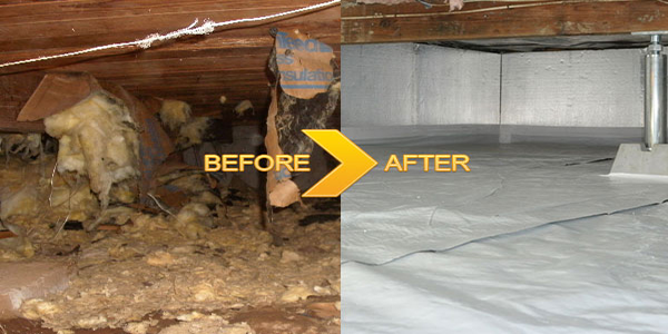 Crawl-Space-Clean-Up-Services