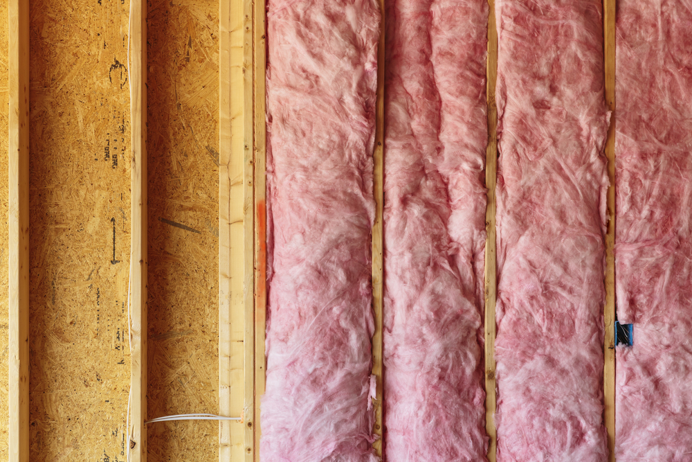 Does-Rodent-Resistant-Insulation-Exist