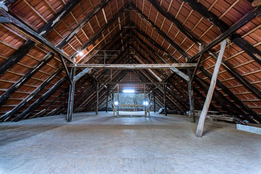 How-to-Rodent-Proof-Your-Attic