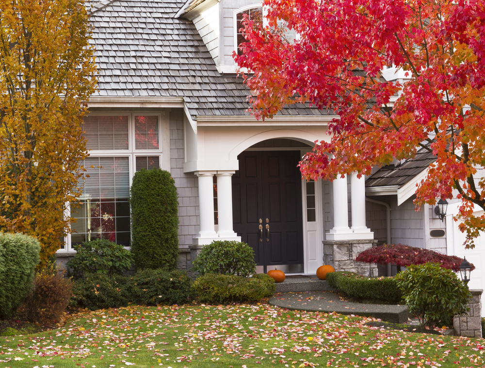 Modern home surrounded by autumn season with maple leaves on ground and trees turning bright colors