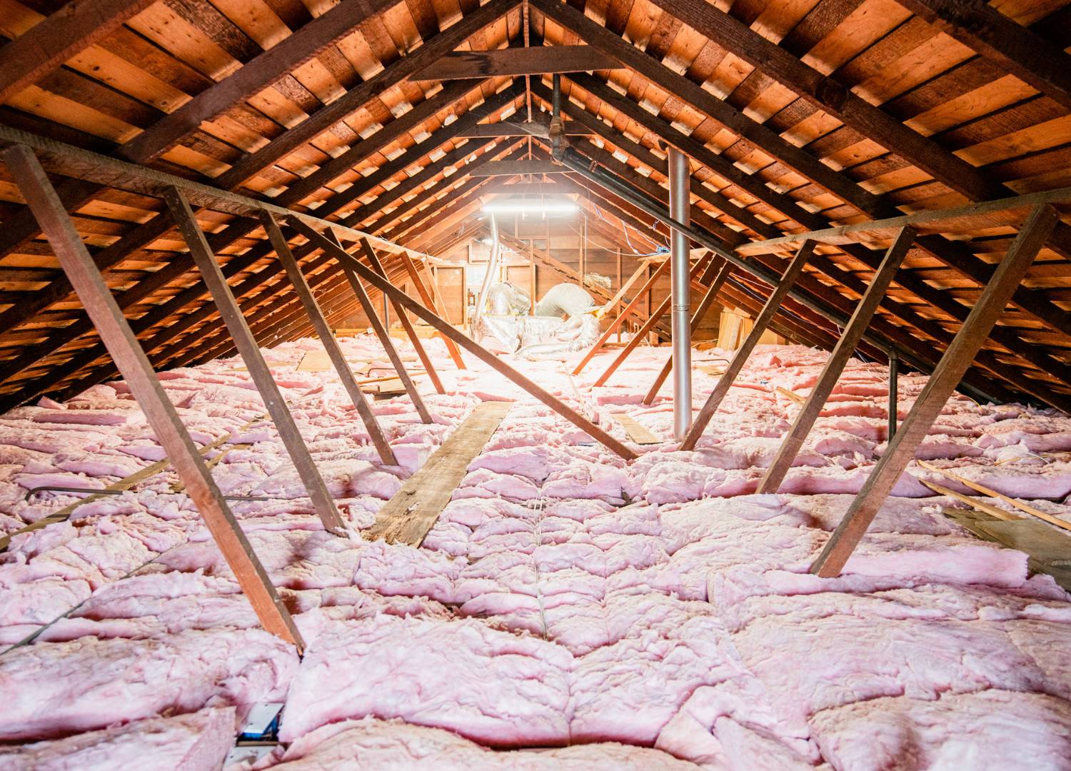 How to Rodent-Proof Your Attic