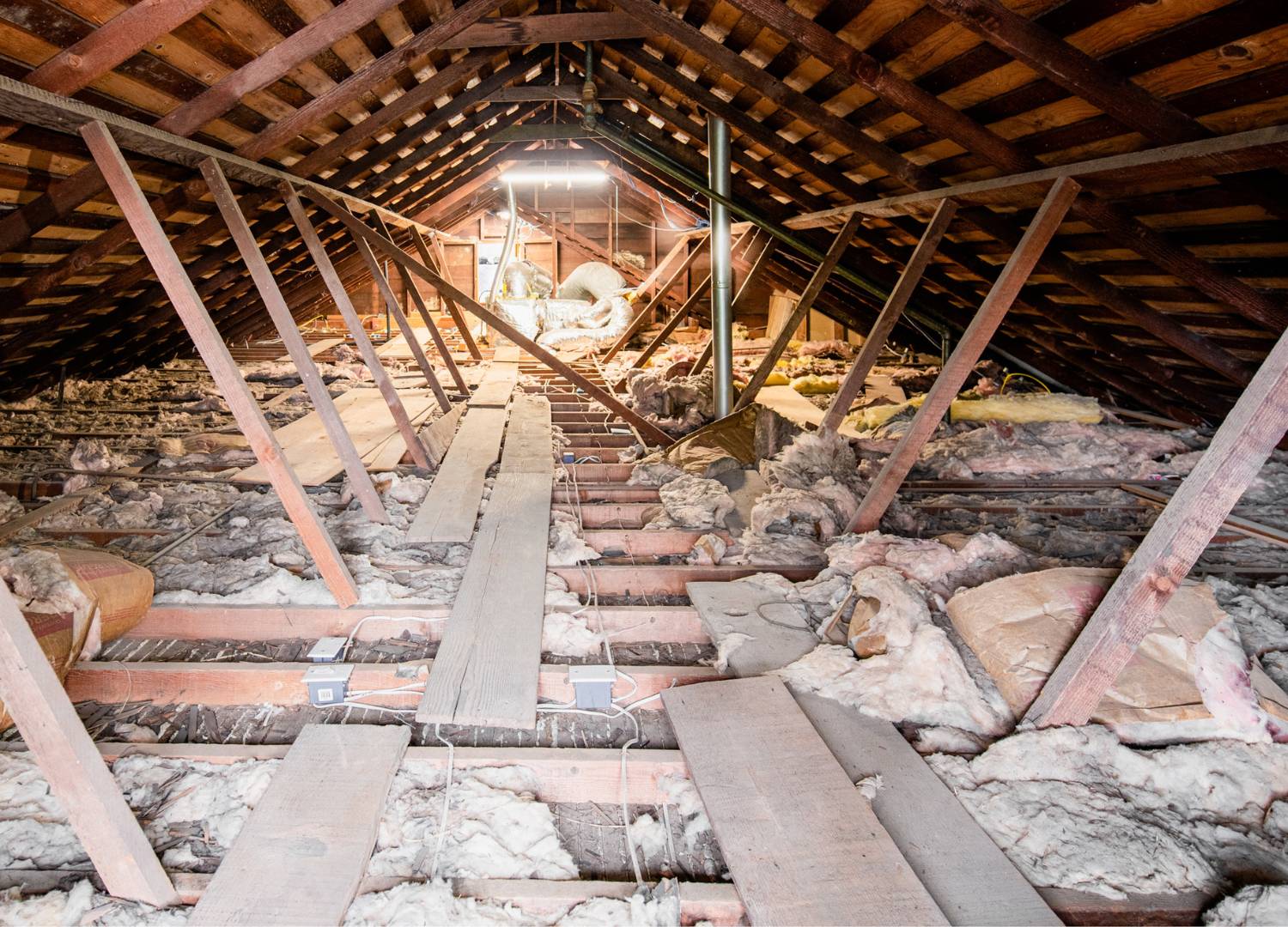 10 Steps On How To Rodent Proof Your Attic - Master Attic