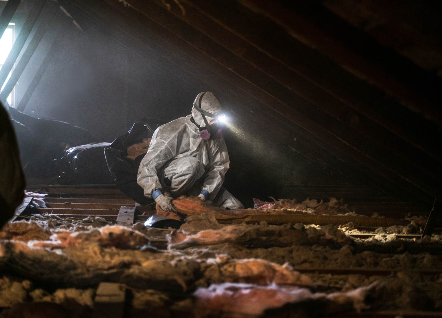 Dallas Rodent Proofing | Attic Construction