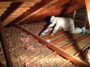 damaged-attic-insulation