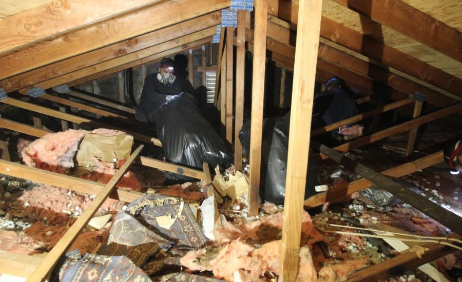 Attic Cleaning